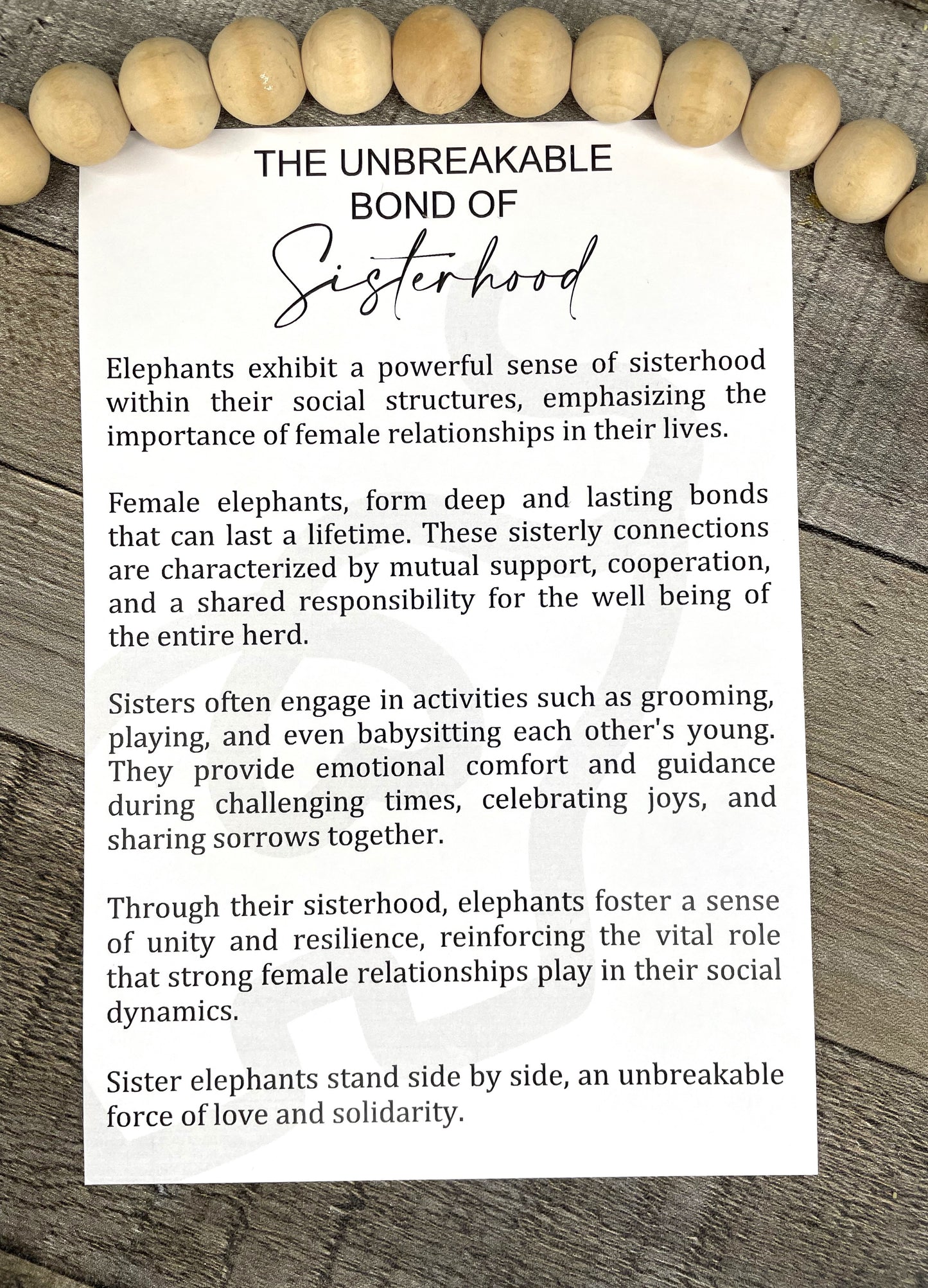 Elephant Story Card Car Charm Air Freshener