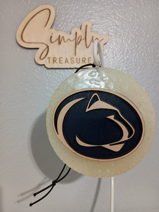 Penn State Freshie